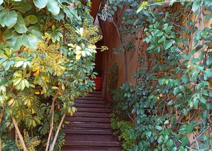 Casa De Huespedes En Satelite - Boutique Rosas * Mexico City