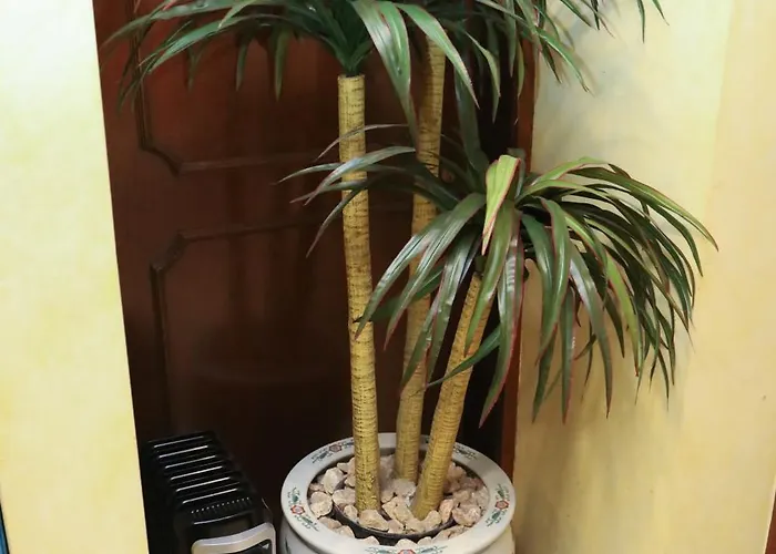 Casa De Huespedes En Satelite - Boutique Rosas Mexico City